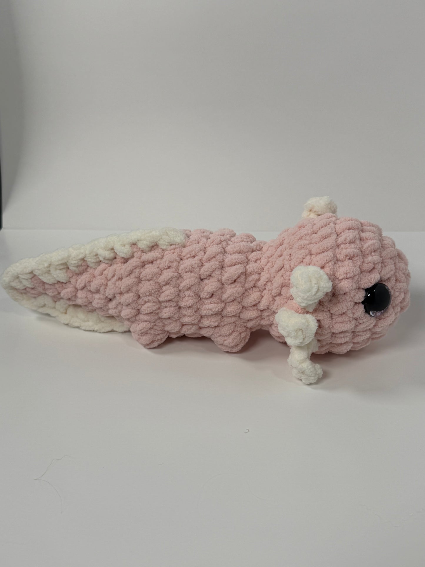 Axolotl