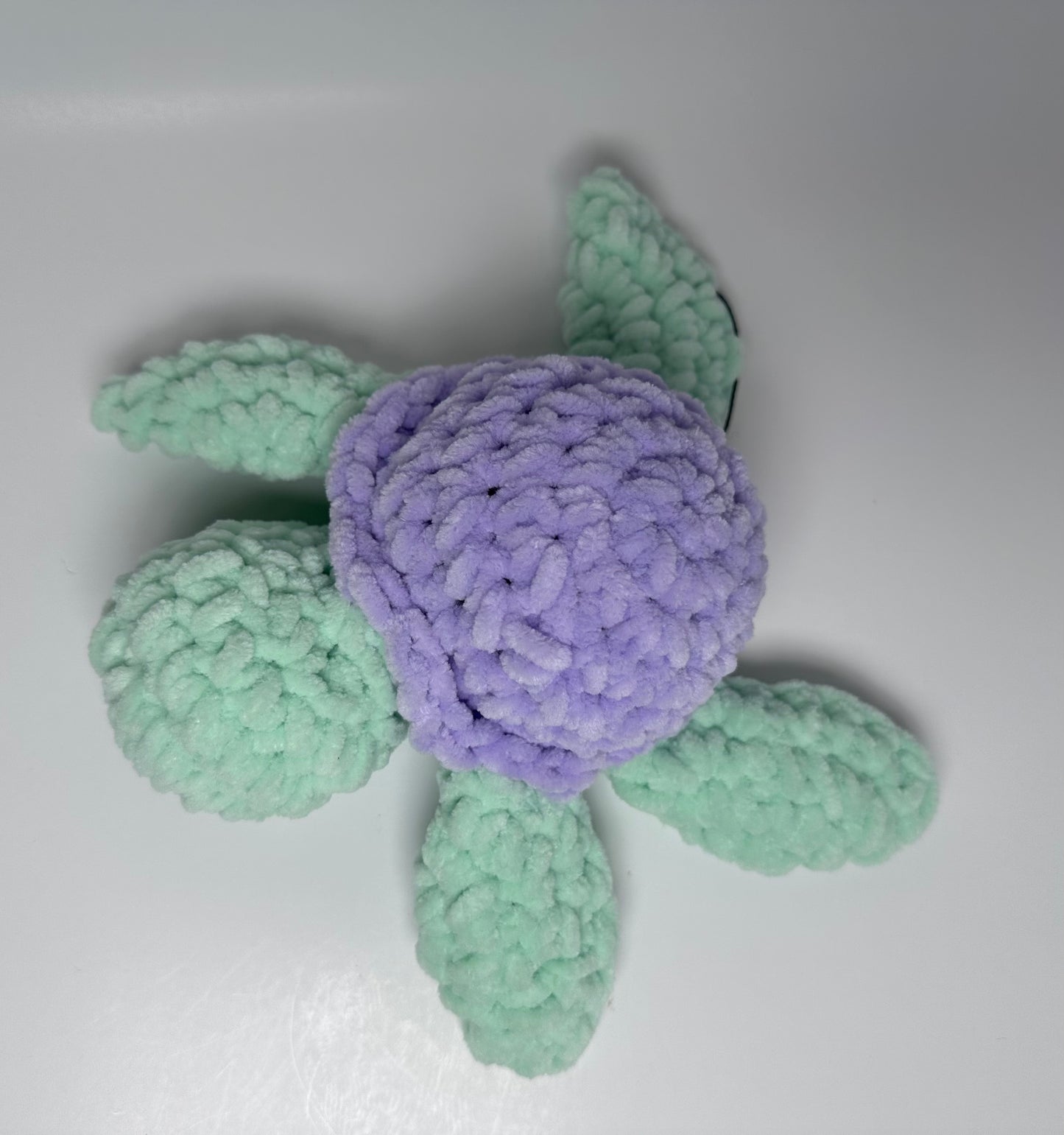 Mini Sea Turtle