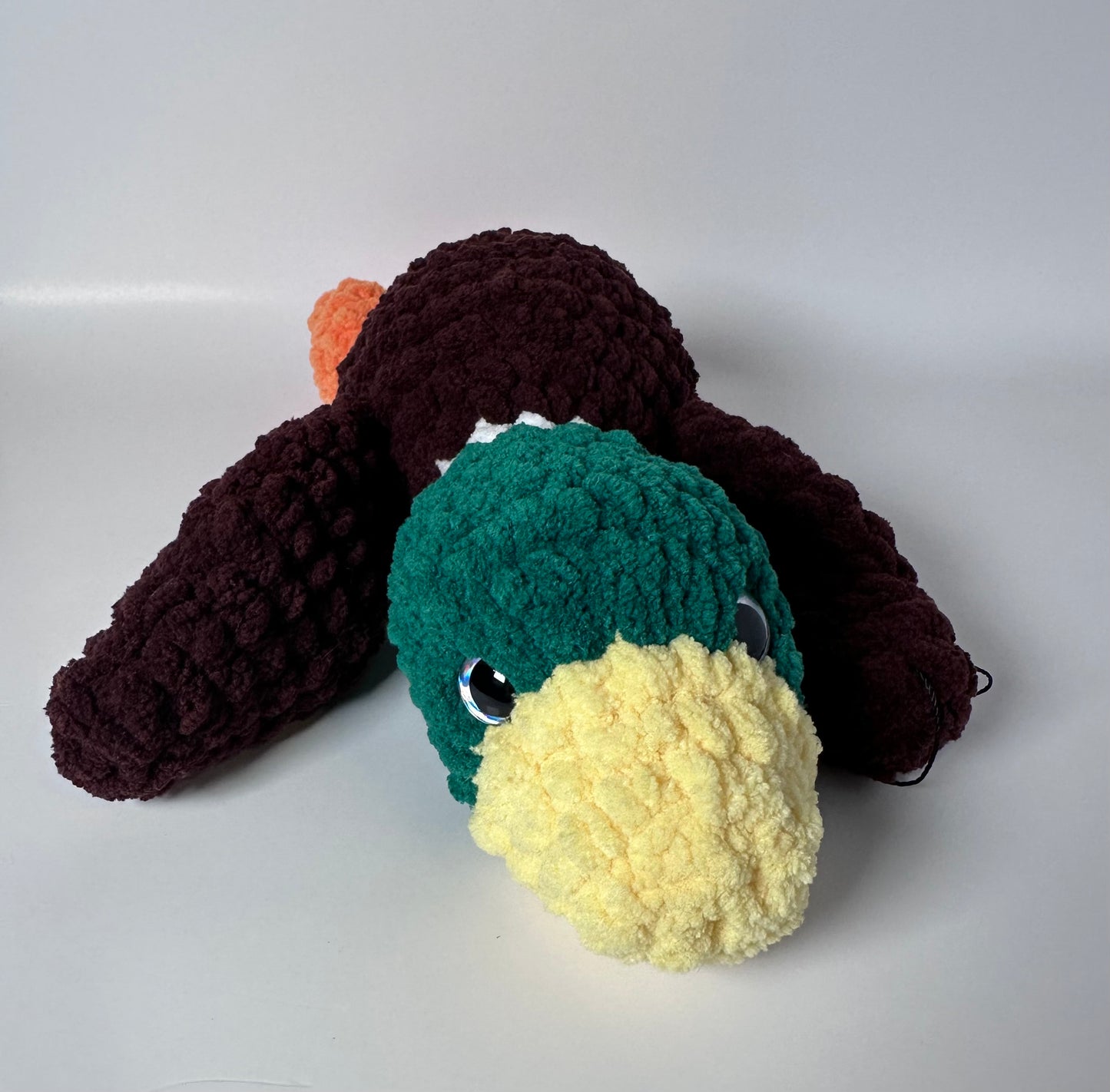 Mallard Duck