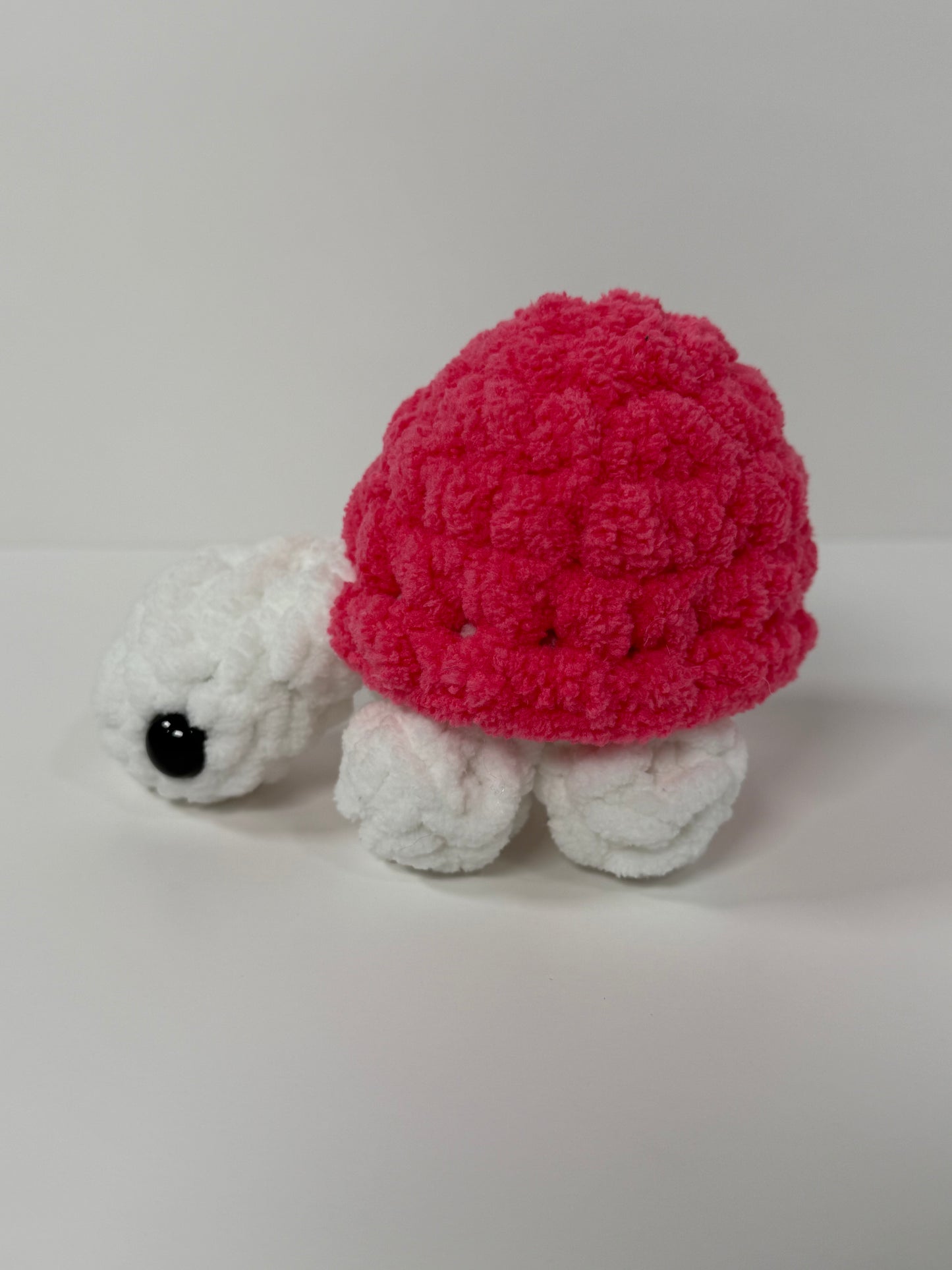 Mini Turtle