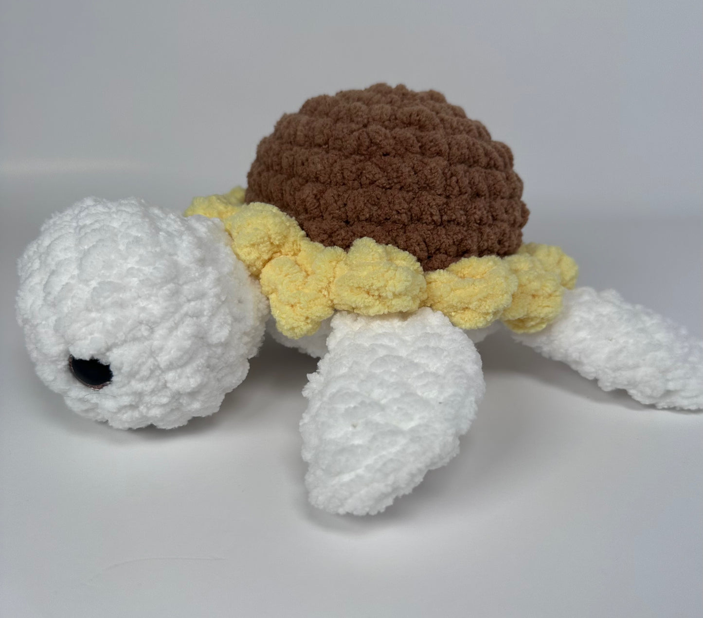 Sea Turtles