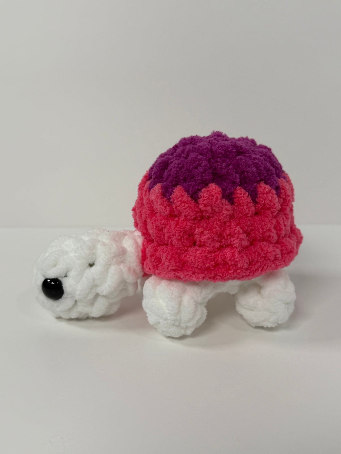Mini Turtle