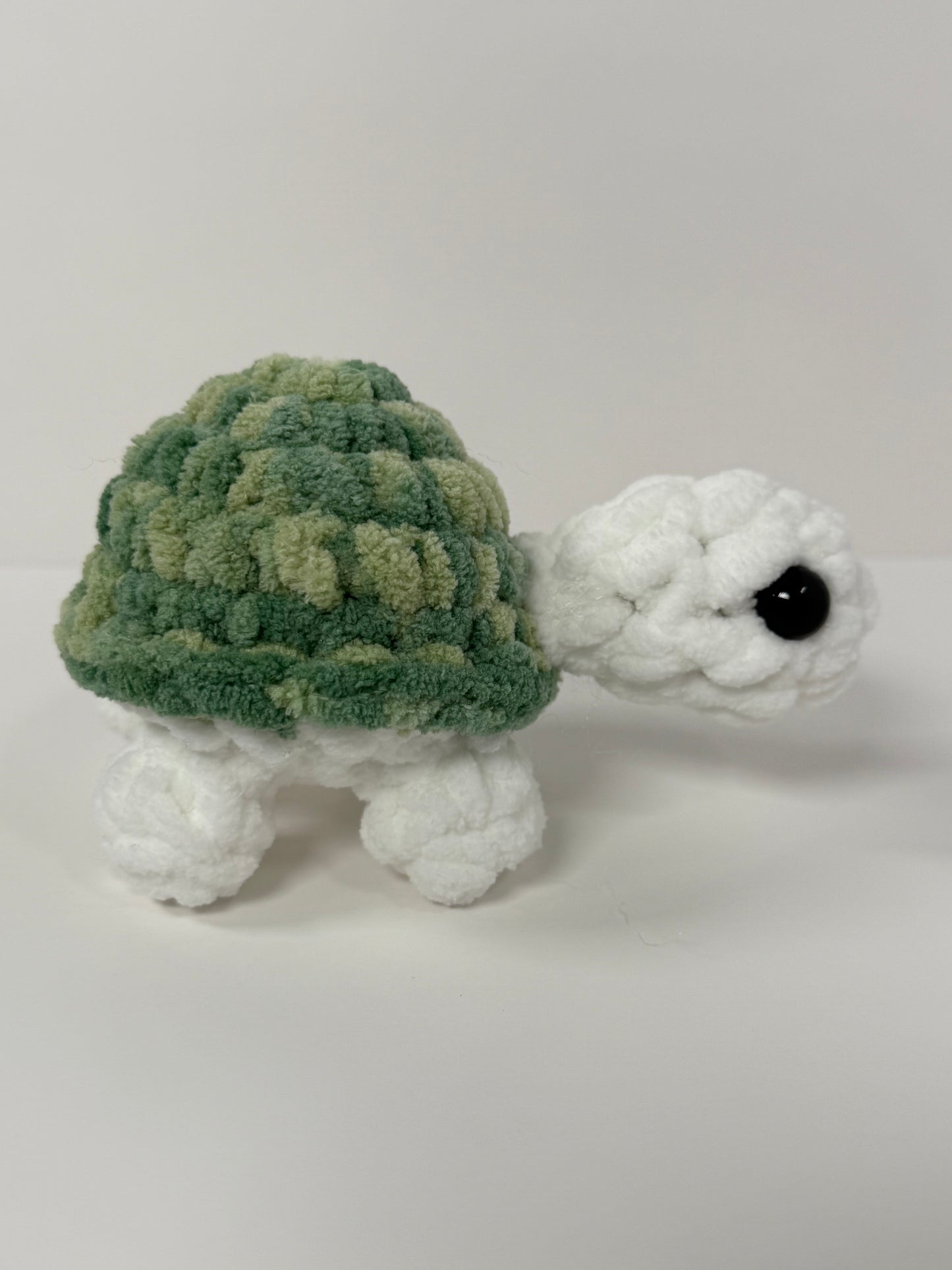 Mini Turtle