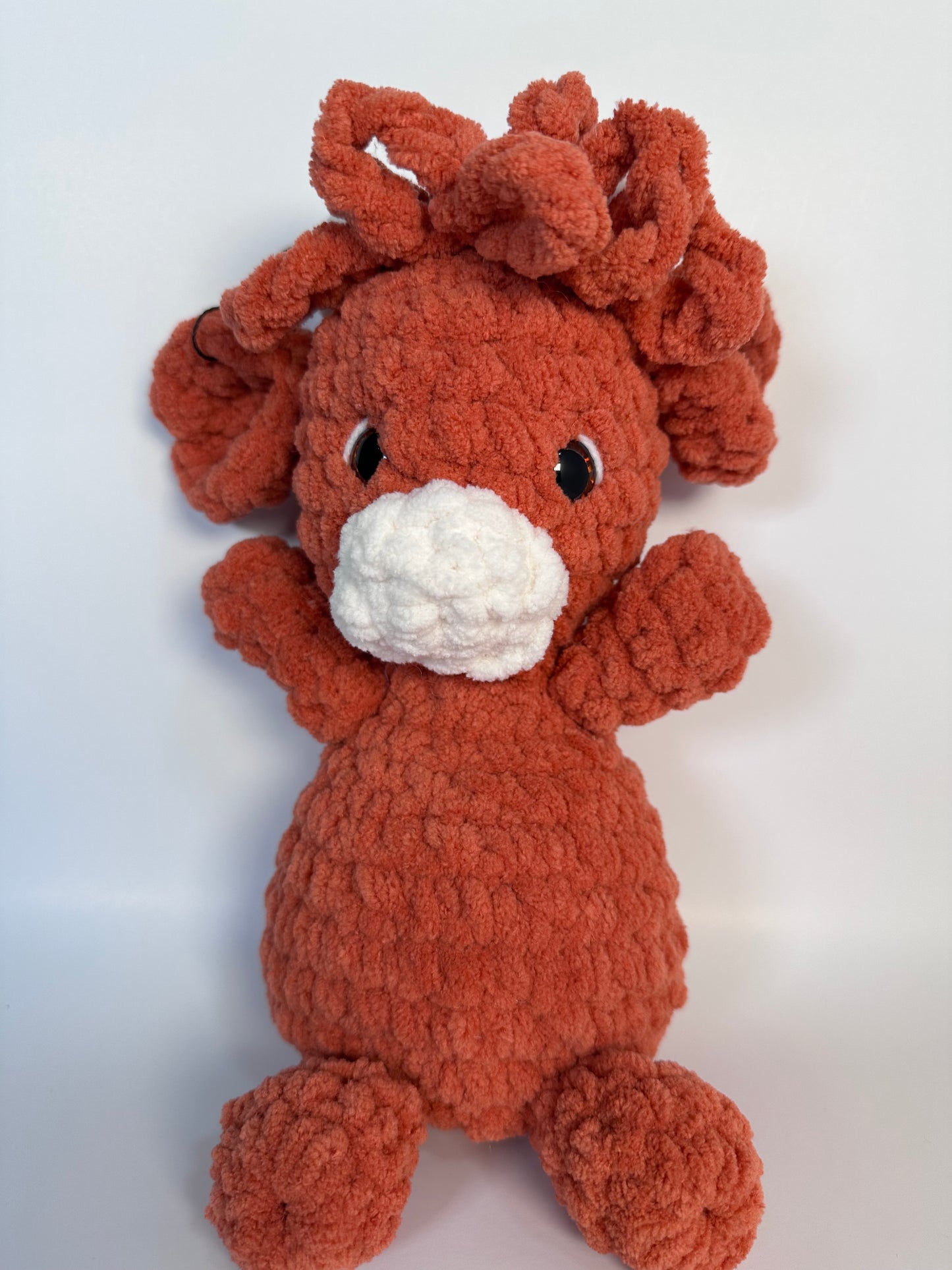 Highland Cow