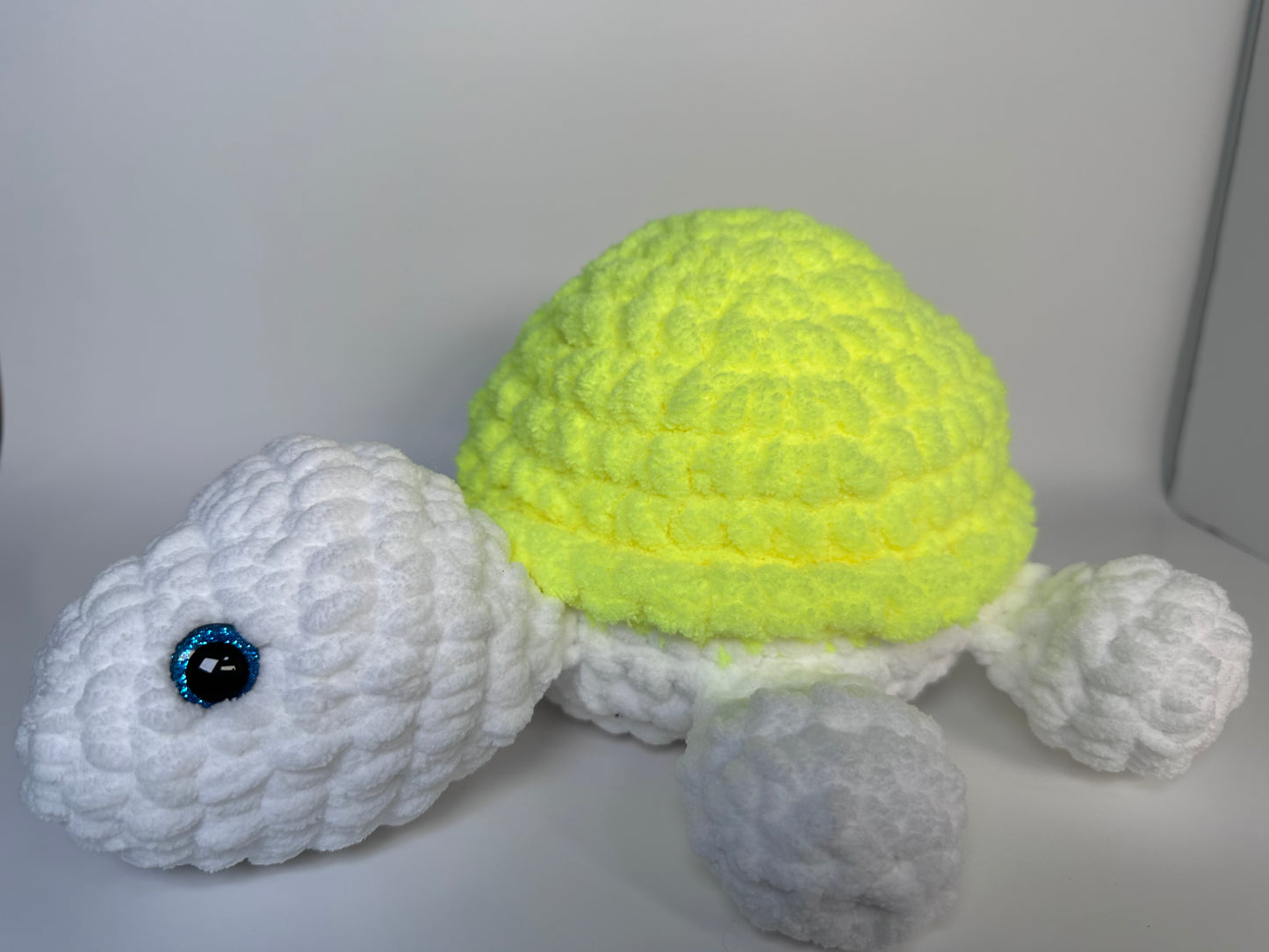 Large Turtle