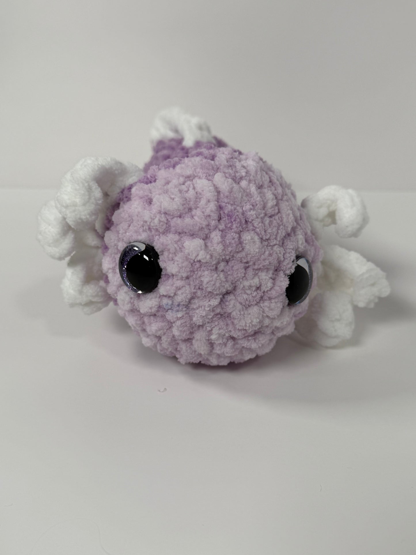 Axolotl