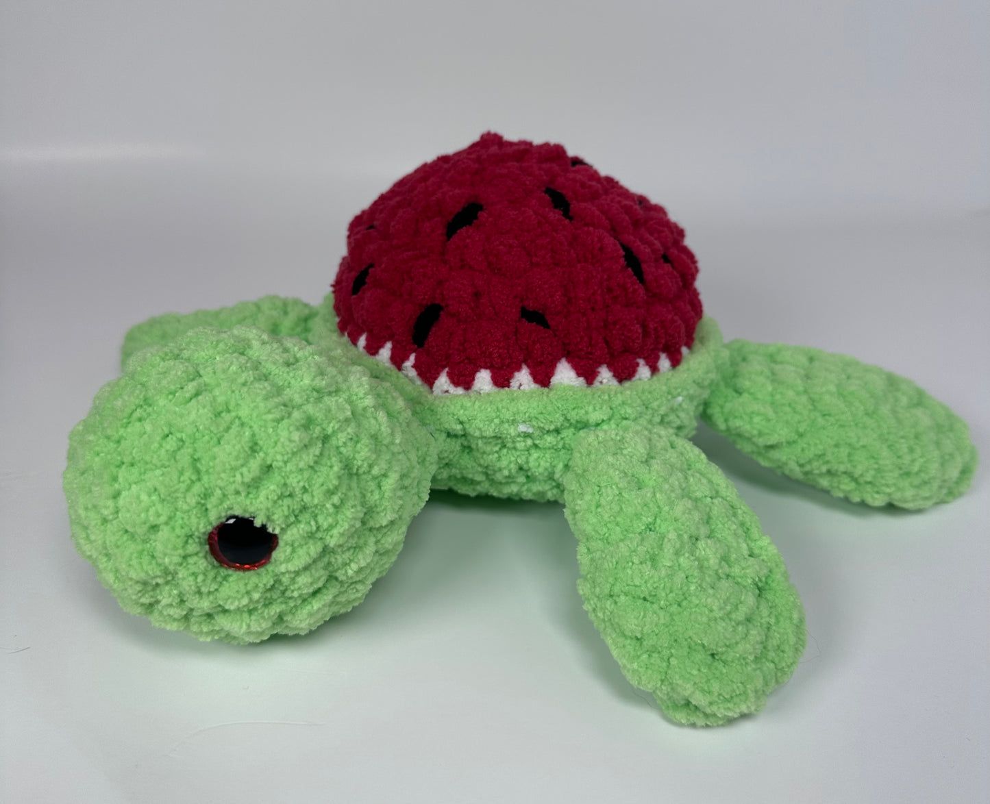 Sea Turtles