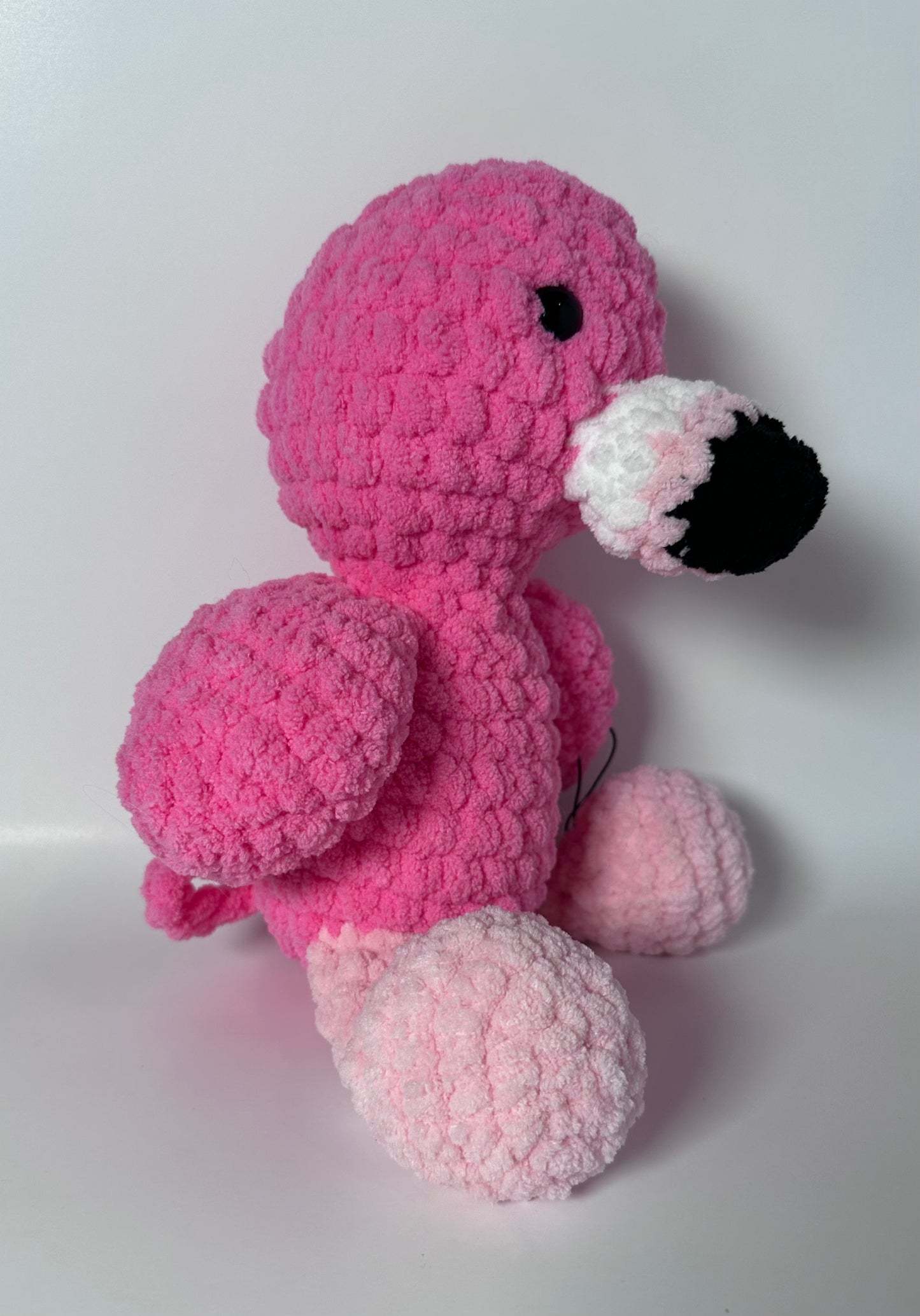 Flamingos