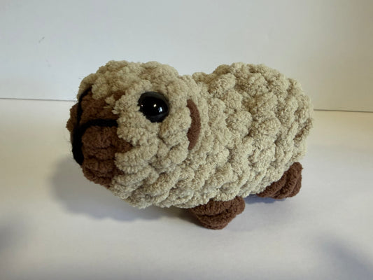 Capybara