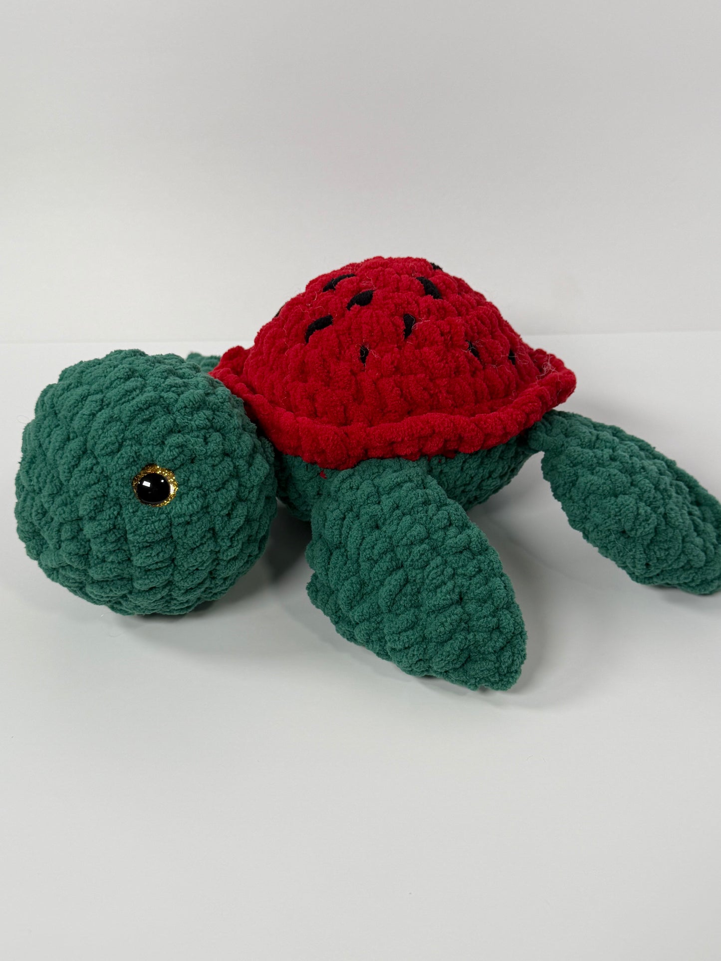 Sea Turtles