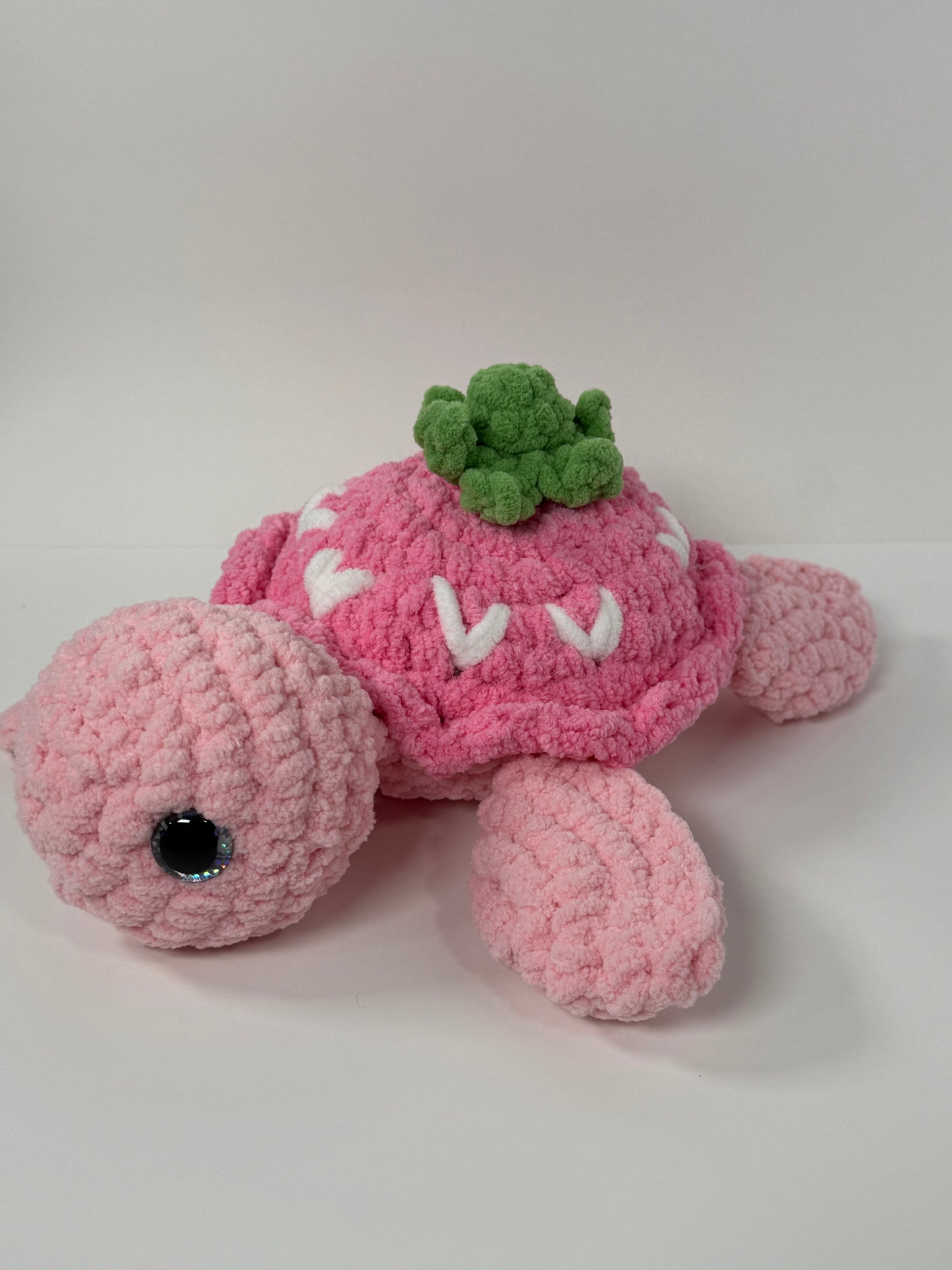 Sea Turtles