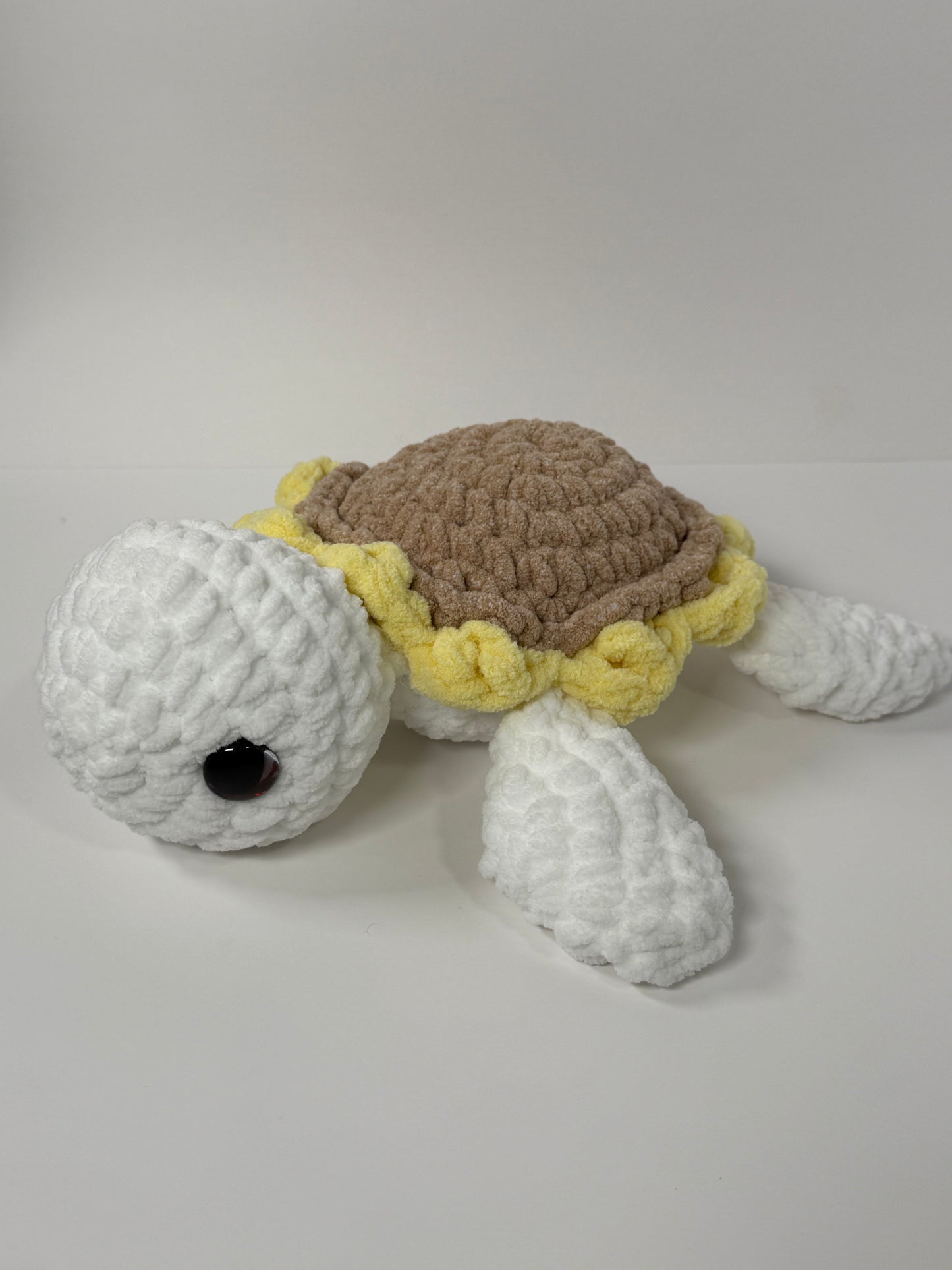 Sea Turtles