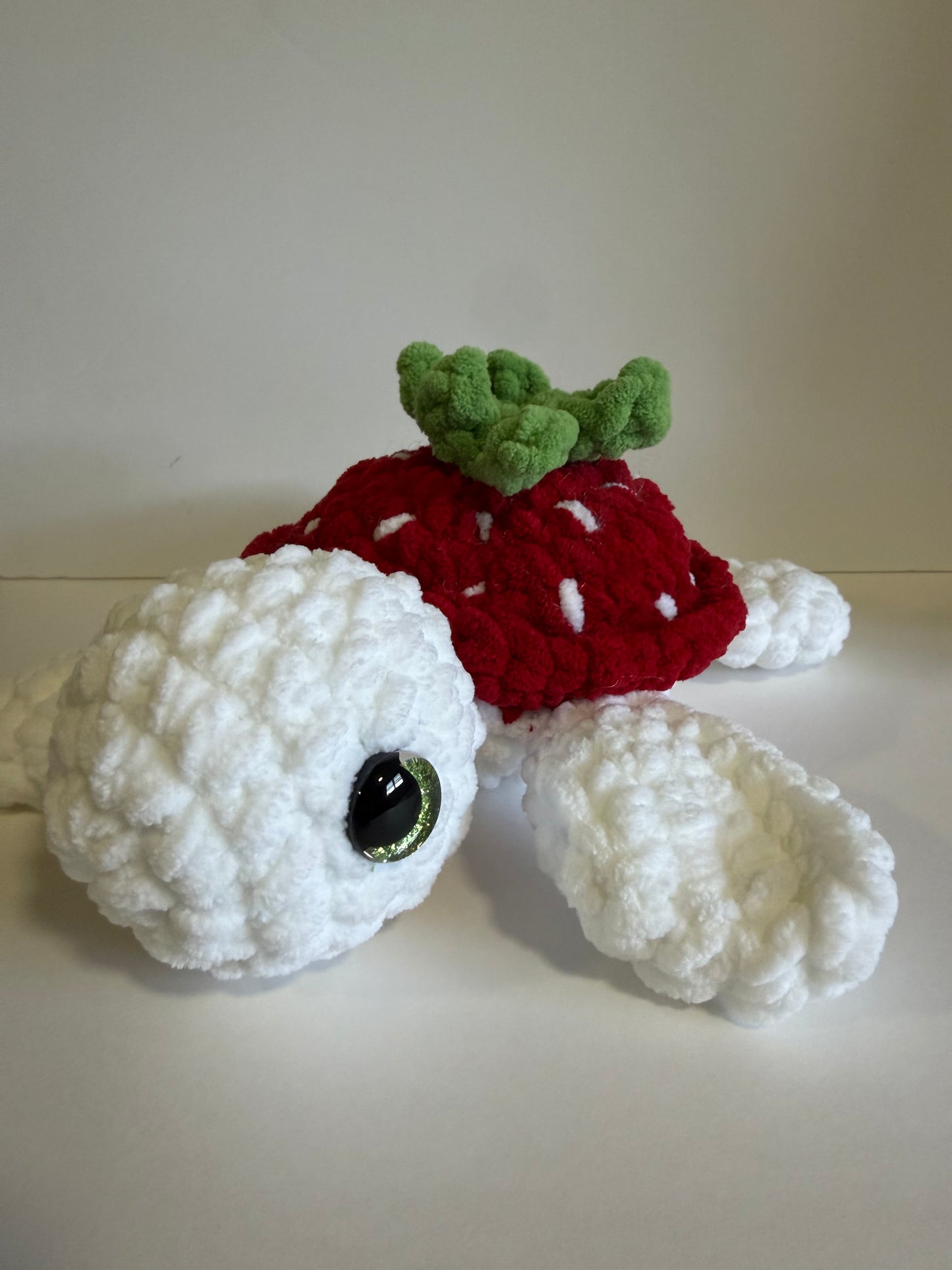 Sea Turtles