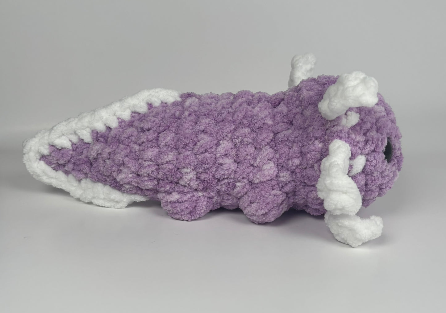 Axolotl